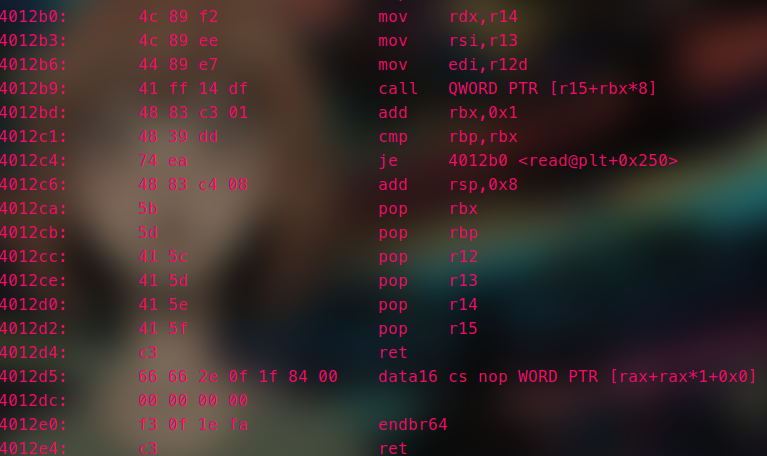 第十六届极客大挑战old_rop (4).png