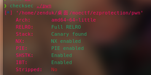 moectf2025ezprotection (4).png