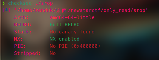 newstarctf2025only_read图片1.png